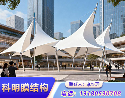 泰安景观膜结构