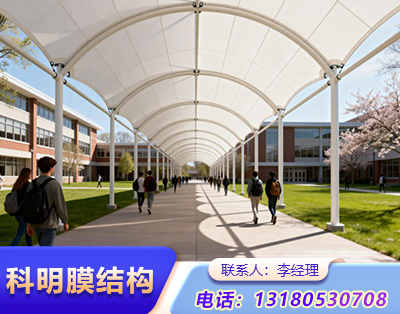 泰安张拉膜结构定制